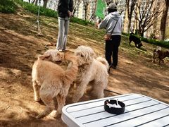 -小意思咖啡店(草桥店)