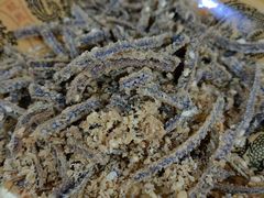 -乐山第一家临江鳝丝(茶坊路店)