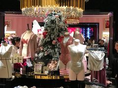 -Victoria's Secret(苏州中心全品类店)