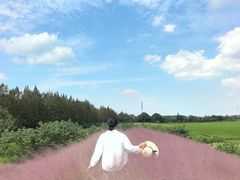-嘉北郊野公园