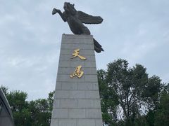 -府君山公园