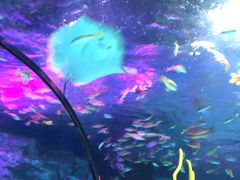 -沈阳海洋探索中心