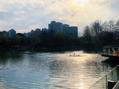 -新虹桥中心花园
