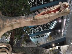 -湖南省地质博物馆