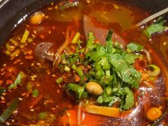 -探鱼·鲜青椒爽麻烤鱼(正佳广场店)