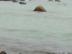 -那琴半岛地质海洋公园