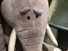 -炒码先生·韩餐炸鸡披萨(西塔店)