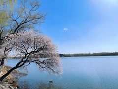 -颐和园