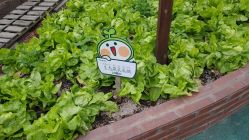 -梦田都市农场(银泰城店)