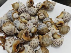 -张树军海鲜(王府壹号店)