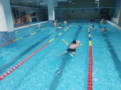 -飞鲨游泳培训学校