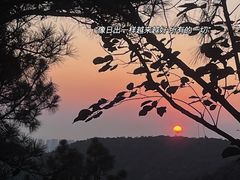 -树山生态村