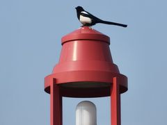 -星海广场