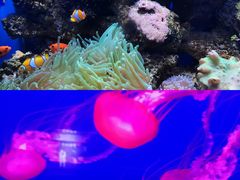 -多彩贵州城极地海洋世界