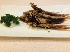-翰林轩翰林金阁(长乐路店)