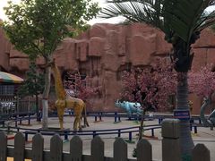 -裕华世纪公园