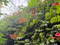 -斯多格书乡(北京大学畅春园店)