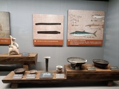 -青岛市博物馆