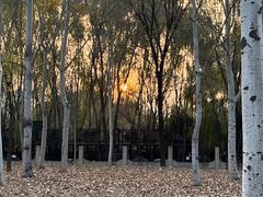 -森林公园(尖草坪区)