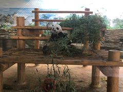 -西霞口神雕山野生动物世界