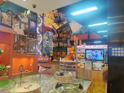 -卡通尼·Safari非洲探索乐园·生日会(金桥国际商业广场店)