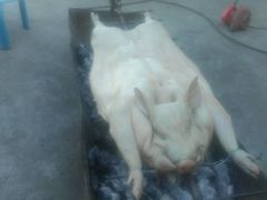 -老字号黄妹火盆烧烤