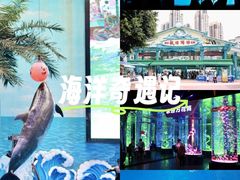 -海合安成都极地海洋公园
