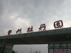 -曹州牡丹园