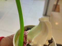-Salud撒露欧洲冻酸奶(蓝色港湾店)