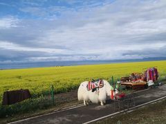 -青海湖国家重点风景名胜区