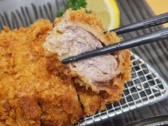 -胜博殿日式炸猪排(悠唐店)