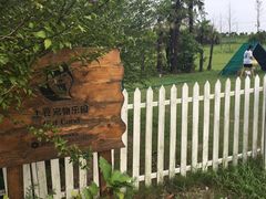 -上海崇明金茂凯悦酒店