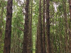 -同里国家湿地公园