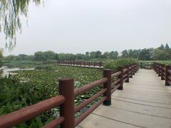 -长兴太湖图影湿地文化园