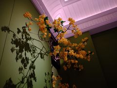 -金链花·泰国餐厅(国贸店)