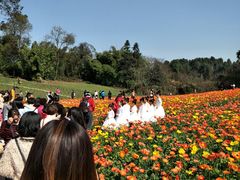 -保利石象湖景区