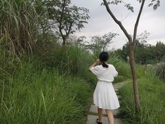 -桤木河湿地公园