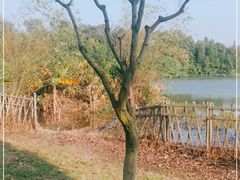 -瑶湖郊野森林公园