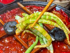 -洋马儿火锅(解放碑店)