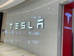 -TESLA 特斯拉(广州天环广场体验店)