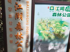 -广州白江湖森林公园