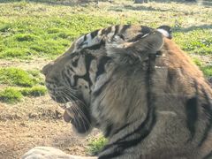 -西霞口神雕山野生动物世界
