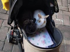 -茶米人台湾料理·精致快简餐