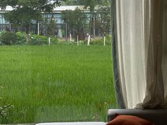 -洪湖家庭农场·团建·露营·会议