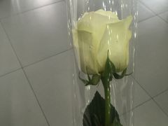 -Butchart布查德鲜花(花艺设计中心)