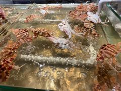 -诱货海鲜自助火锅(爱琴海购物公园东百店)