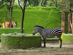 -北京野生动物园