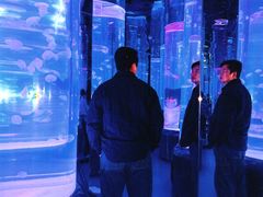 -海合安武汉极地海洋公园