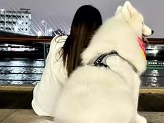-美迦爱动物医院·夜诊(朝阳路诊疗中心)
