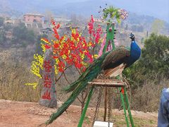 -苍岩山风景名胜区